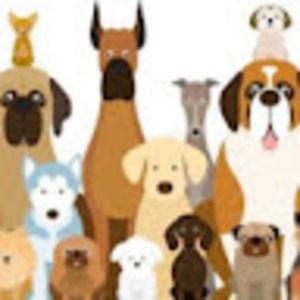 Meet your Posher, Nora s.